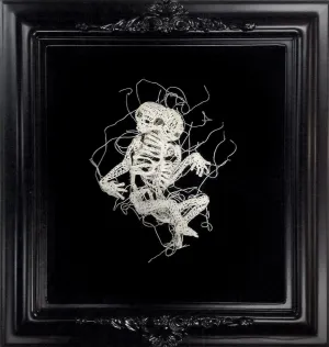 Caitlin McCormack, "Alligata"