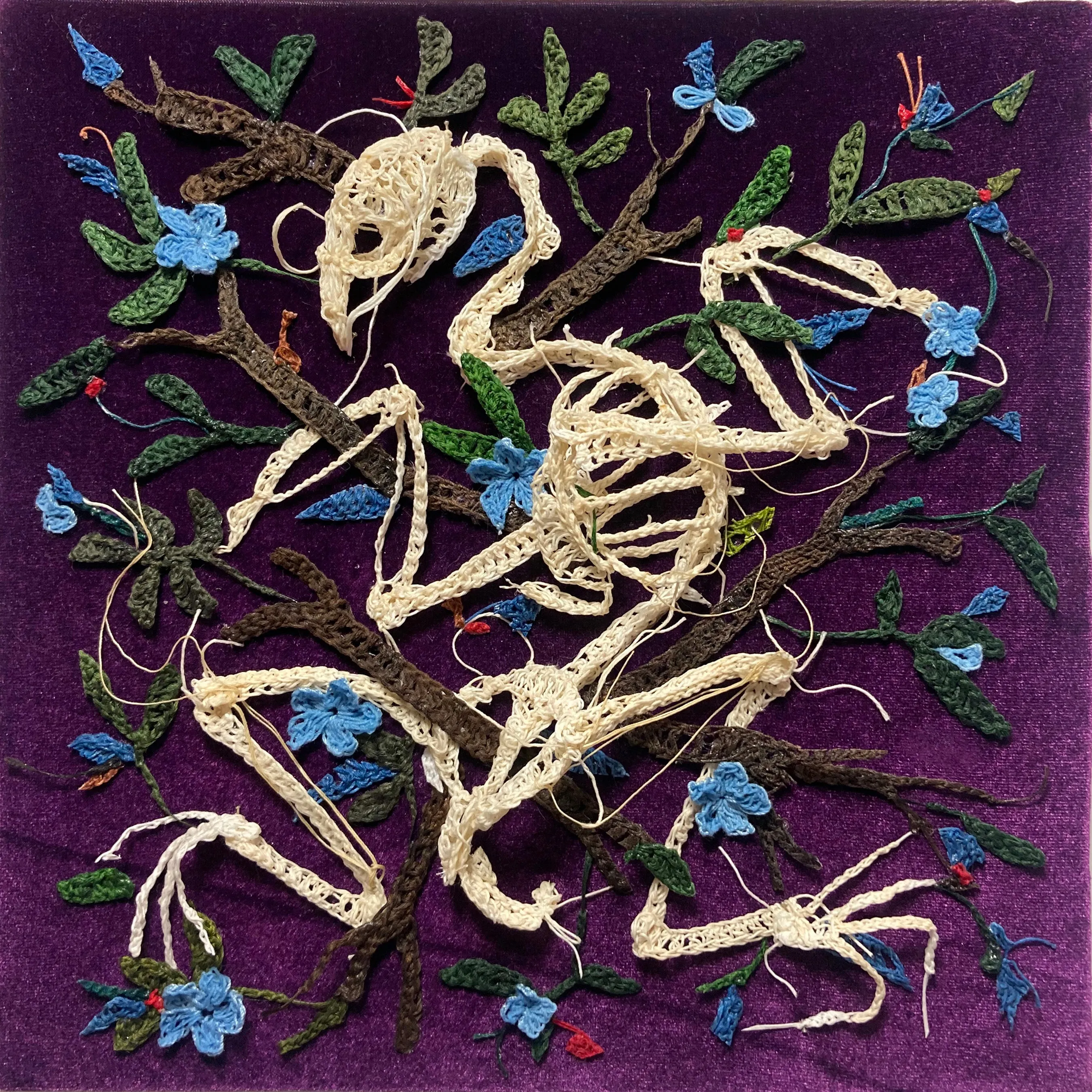 Caitlin McCormack - Snipe (Aplomado Falcon)