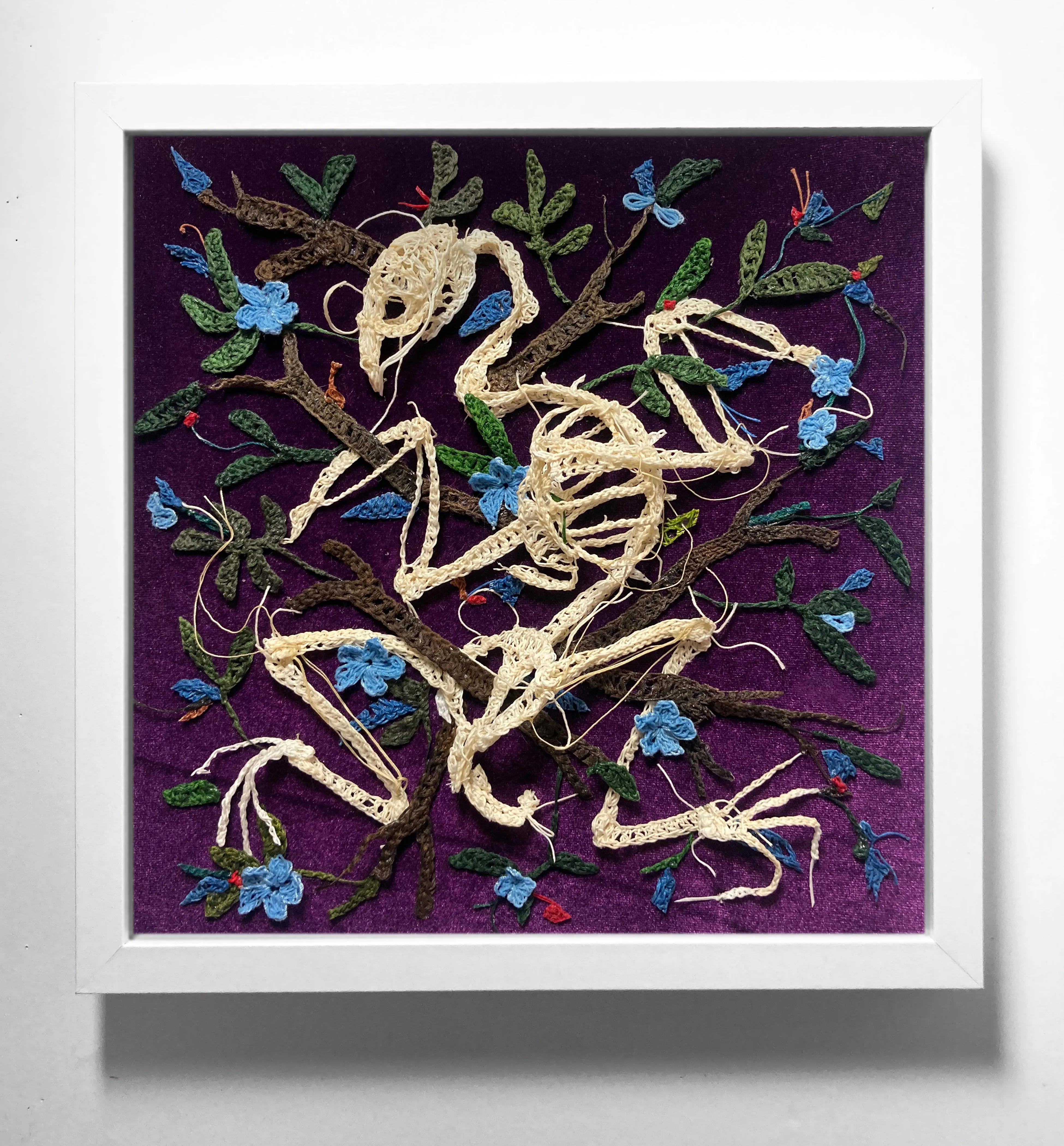 Caitlin McCormack - Snipe (Aplomado Falcon)