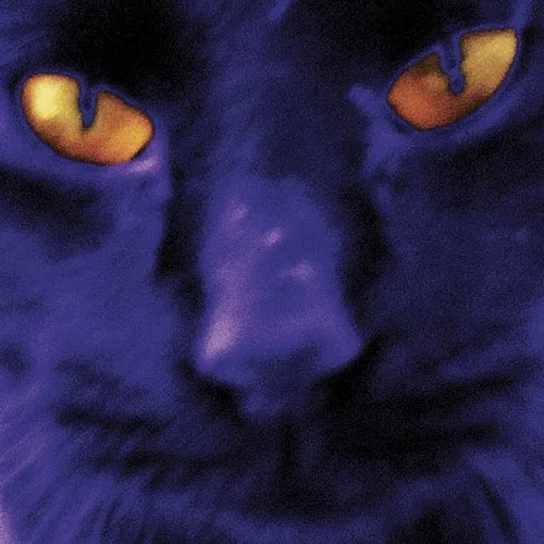 DAVID KILGOUR & THE HEAVY EIGHTS 'Bobbies A Girl' LP