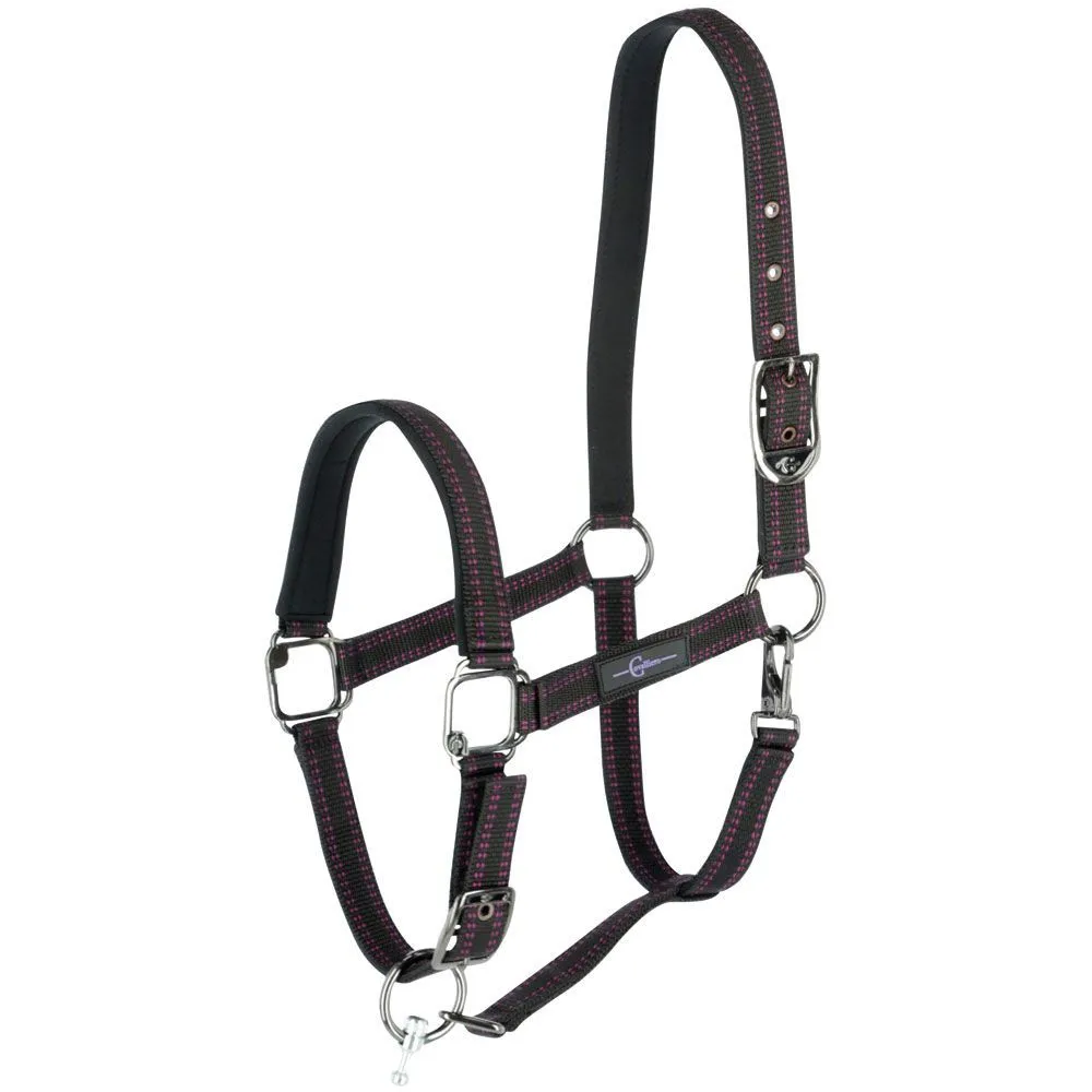 GoLeyGo Black/Pink Halter and Lead Set
