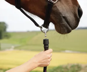 GoLeyGo Black/Pink Halter and Lead Set