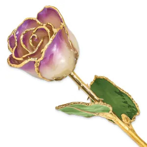 Lacquer Dipped 24k Gold Trim Amethyst Rose