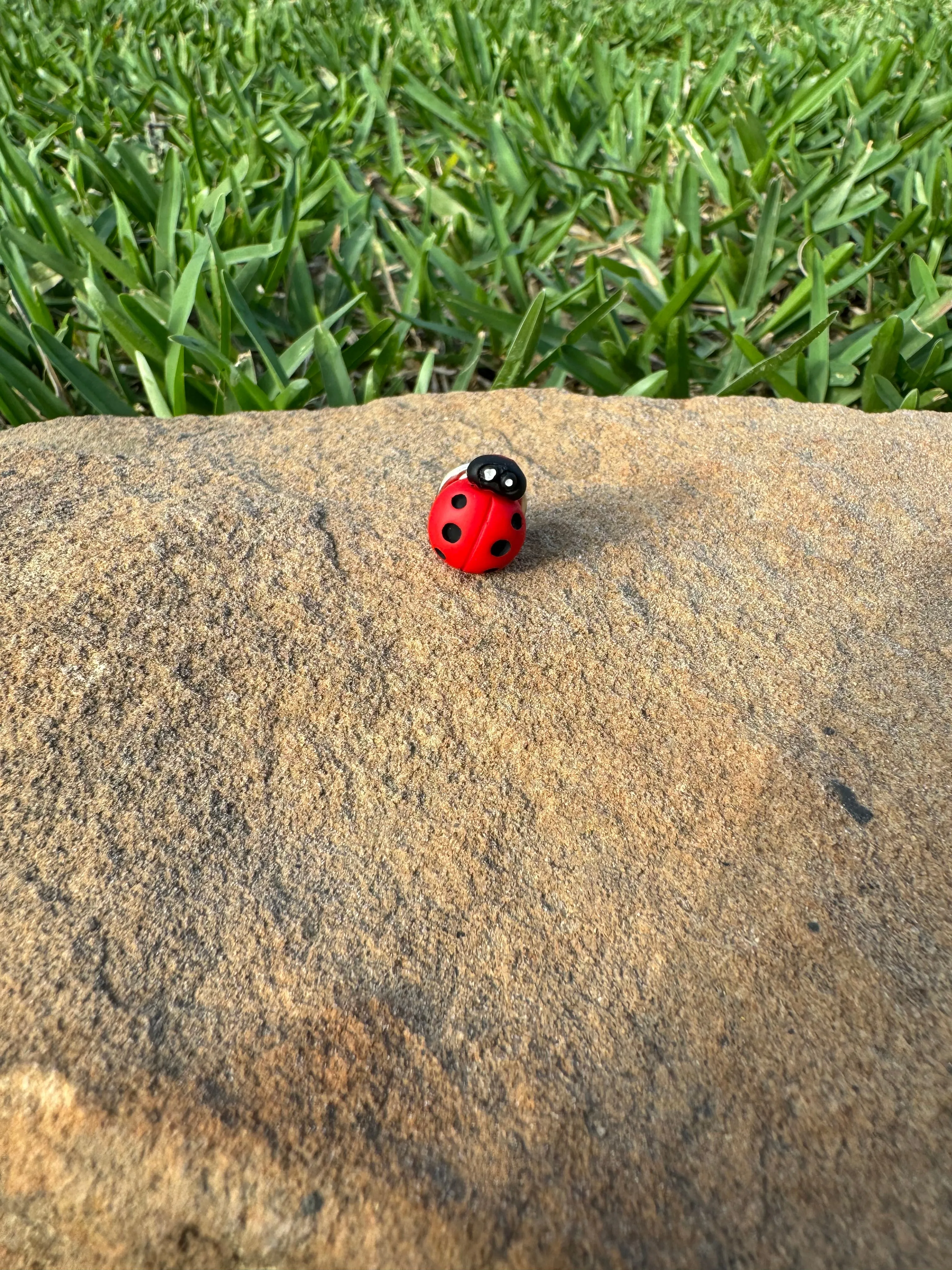 Ladybug Bug Adornments Novelty Ladybug Pin Brooch