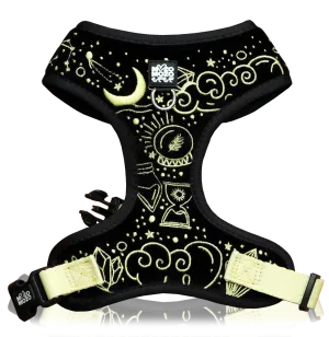 Magical - Mysterious (black) adjustable harness ✦RARE✦